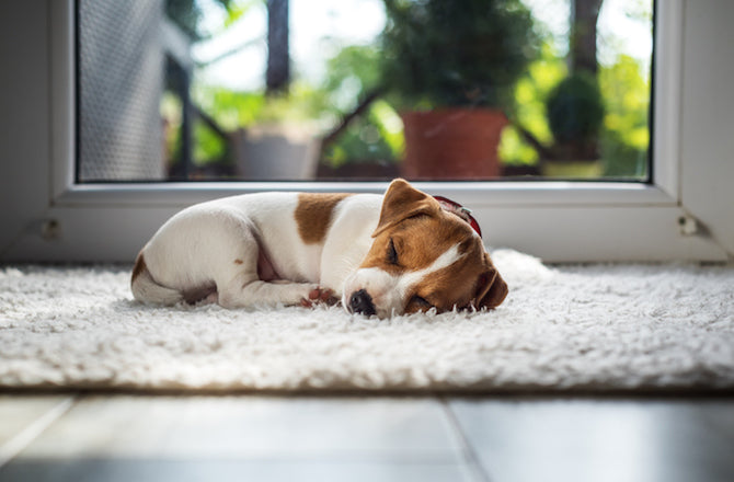 The Best Sleeping Tips
