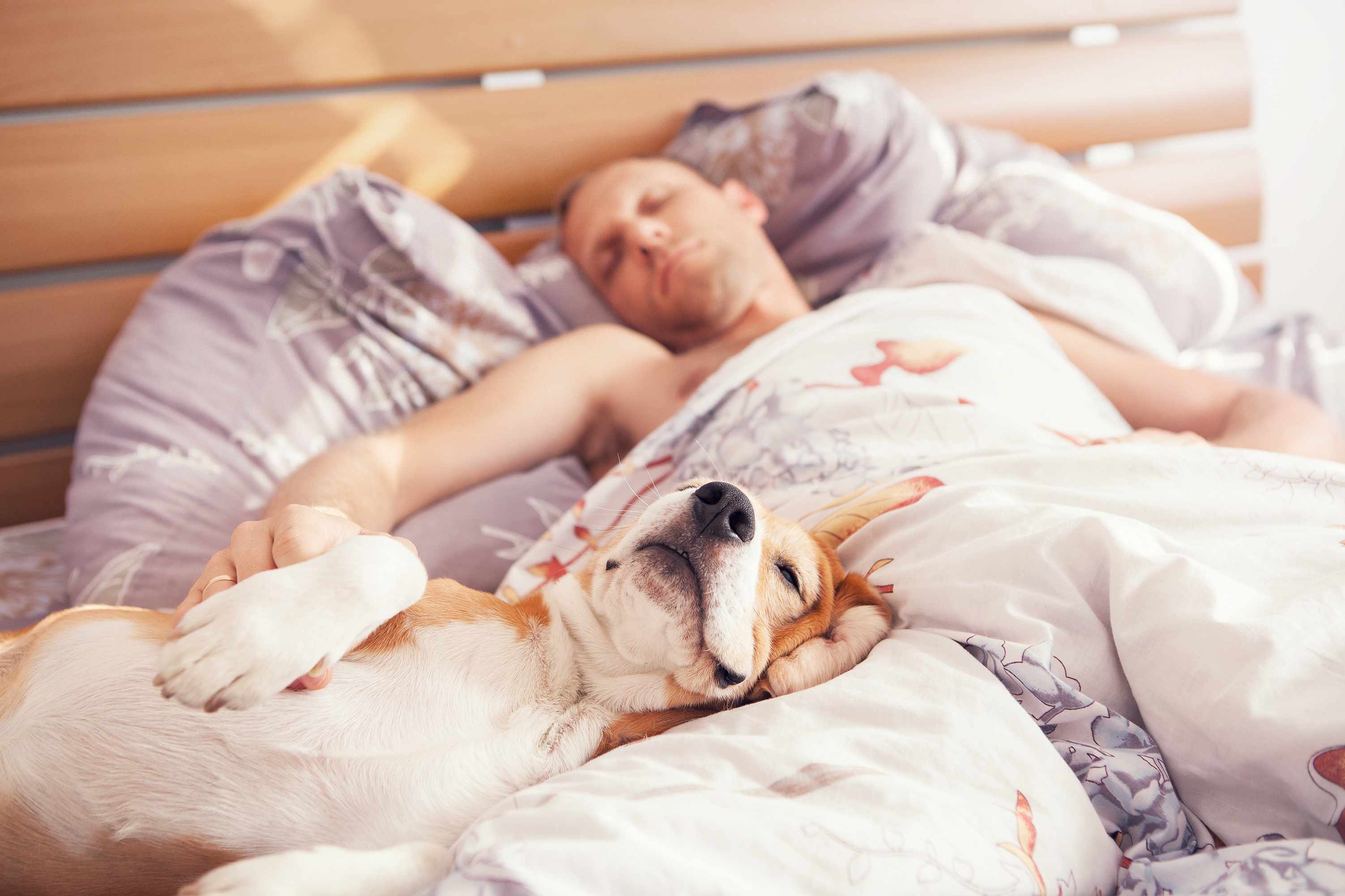 HOW MANY OF US SLEEP WITH OUR PETS?